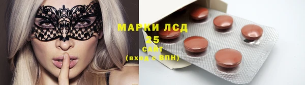 стафф Михайловск