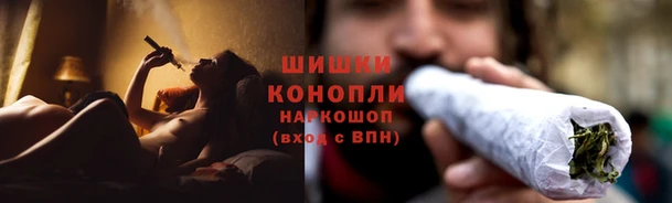 шишки Михайловка