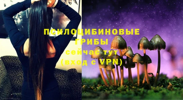 PSILOCYBIN Надым