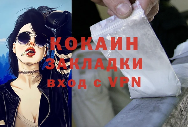 стафф Михайловск