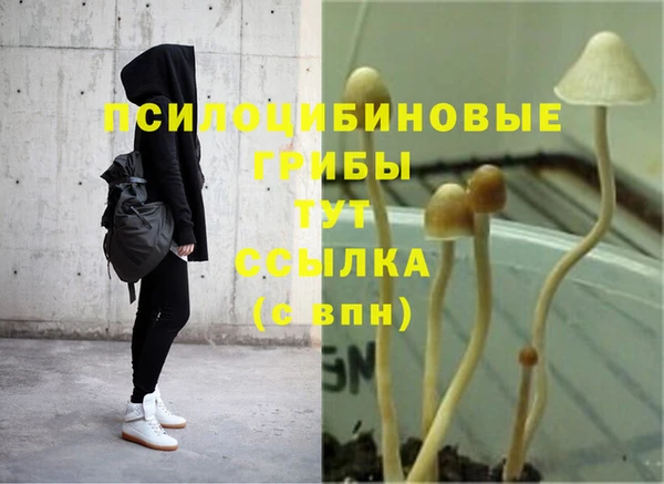 шишки Михайловка