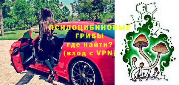 ПСИЛОЦИБИНОВЫЕ ГРИБЫ Наволоки