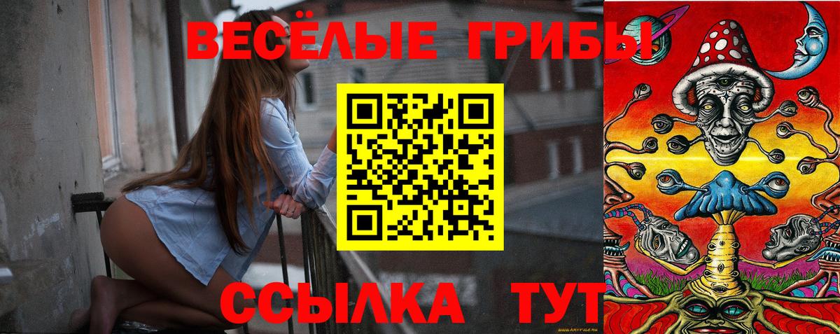 Псилоцибиновые грибы мицелий Надым