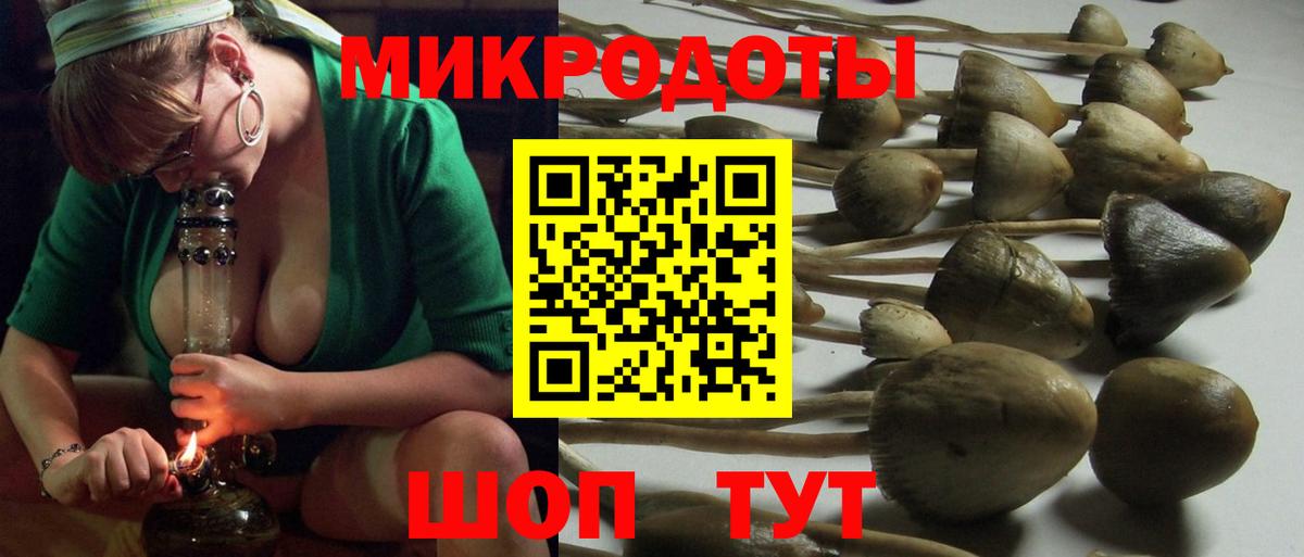 Псилоцибиновые грибы прущие грибы Надым